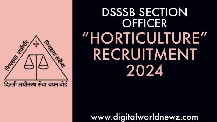 Delhi Subordinate Service Selection Board (DSSSB)